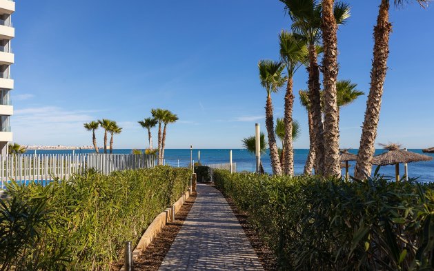 Resale - Apartment / flat - Torrevieja - Punta Prima
