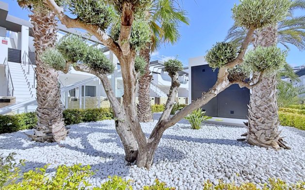 Resale - Penthouse - Orihuela Costa - Punta Prima