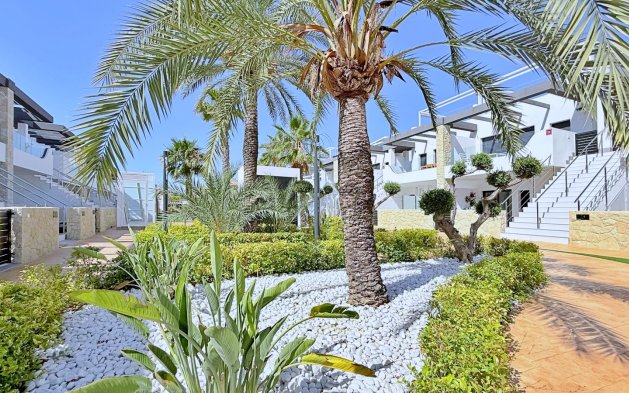 Resale - Penthouse - Orihuela Costa - Punta Prima