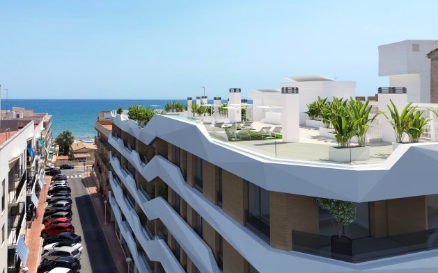 Obra nueva - Apartamento / piso - Guardamar del Segura