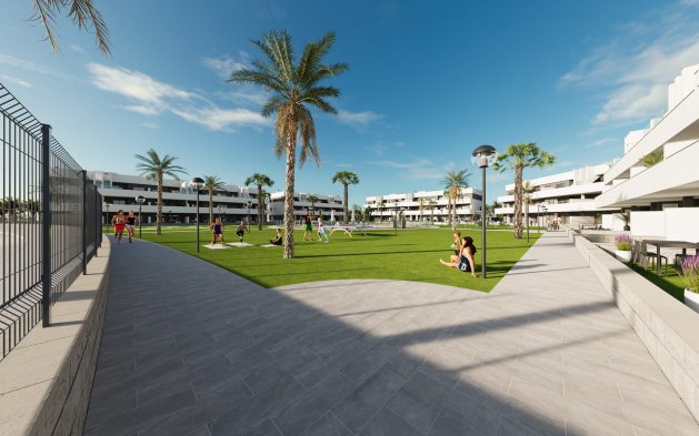 Obra nueva - Apartamento / piso - Guardamar del Segura