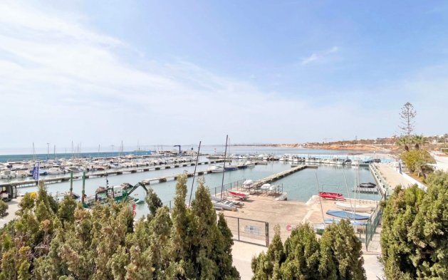 Obra nueva - Bungalow - Pilar de la Horadada - La Torre de la Horadada