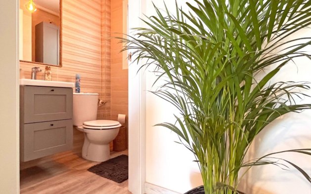 Reventa - Duplex - Torrevieja - Los Balcones - Los Altos del Edén