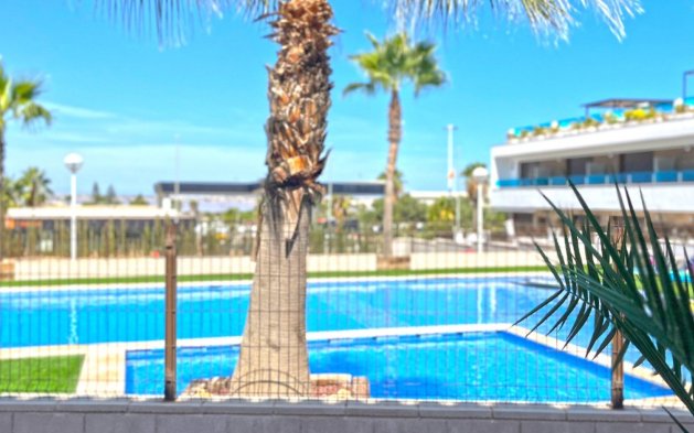 Reventa - Duplex - Torrevieja - Los Balcones - Los Altos del Edén