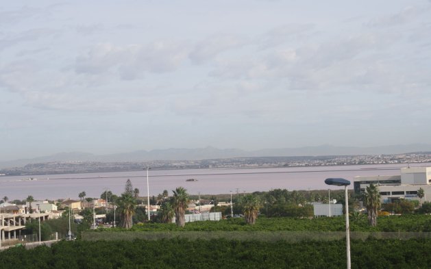 New Build - Villa - Torrevieja
