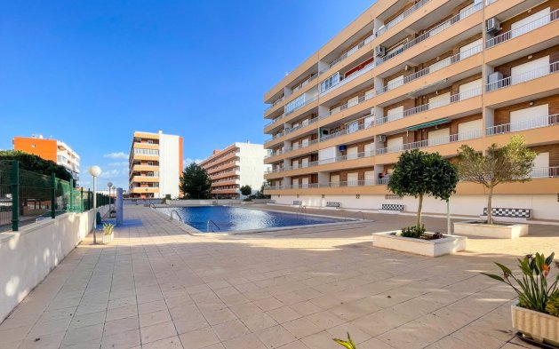 Resale - Penthouse - Torrevieja - Punta Prima