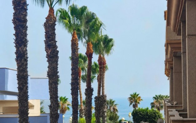 Perpardavimas -  - Orihuela Costa - Agua Marina