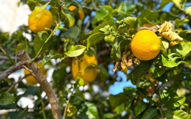 Reventa - Villa - Orihuela Costa - Villamartín