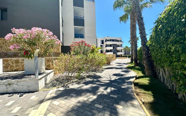 Resale - Apartment / flat - Orihuela Costa - PAU 8