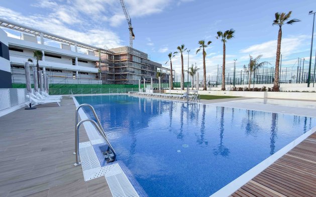 Nowy budynek - Mieszkanie w bloku - ﻿Torrevieja (Alicante) - Spain