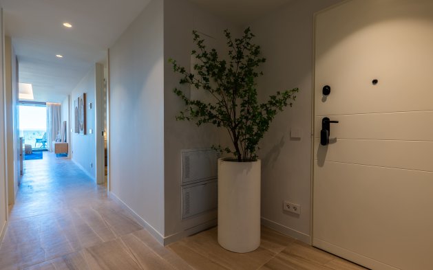 New Build - Apartment / flat - Guardamar del Segura