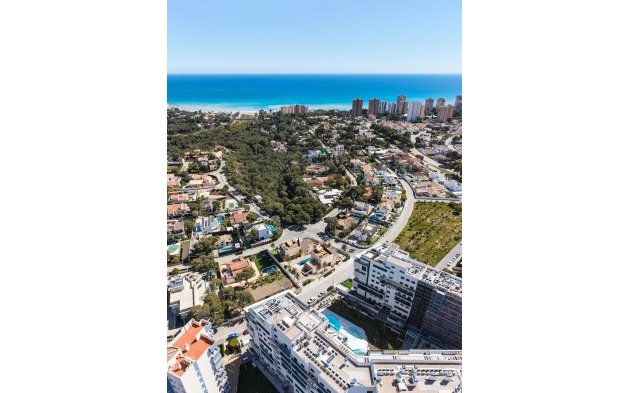 New Build - Villa - Orihuela Costa - Dehesa de Campoamor