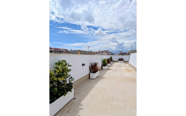 New Build - Apartment / flat - Torrevieja