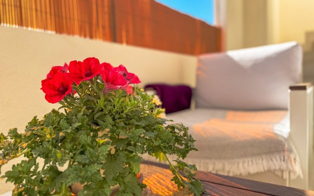 Resale - Bungalow - Torrevieja - Los Balcones - Los Altos 