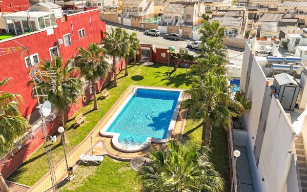 Resale - Bungalow - Torrevieja - Los Balcones - Los Altos 