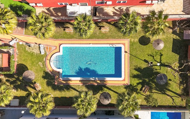 Resale - Bungalow - Torrevieja - Los Balcones - Los Altos 