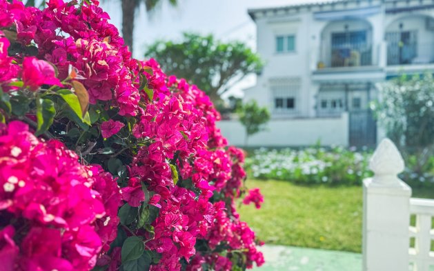 Resale - Bungalow - Torrevieja - Lago Jardin