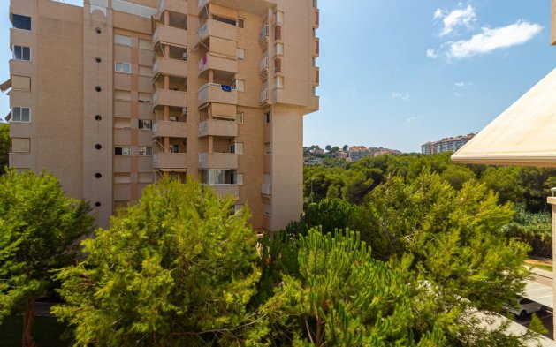 Resale - Apartment / flat - Orihuela Costa - Campoamor