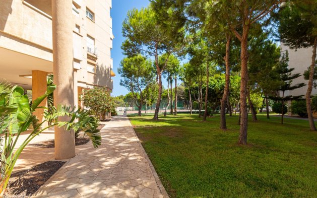 Resale - Apartment / flat - Orihuela Costa - Campoamor