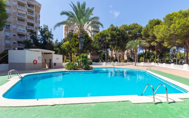 Resale - Apartment / flat - Orihuela Costa - Campoamor