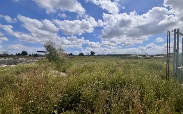 Videresalg - Parcela - Catral