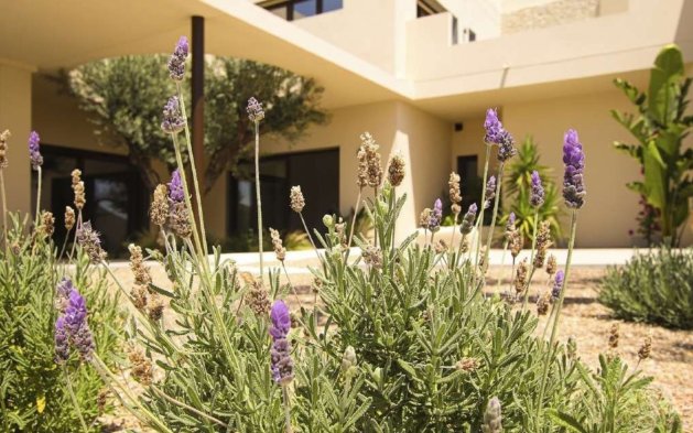 Nauja statyba - Vila - La Marina