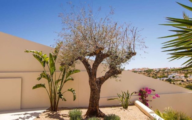 Nauja statyba - Vila - La Marina