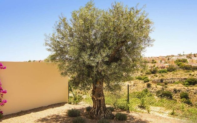 Nauja statyba - Vila - La Marina