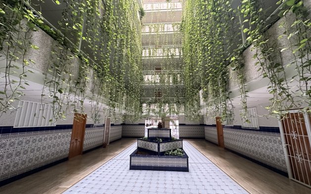 Herverkoop - Appartement / flat - Torrevieja