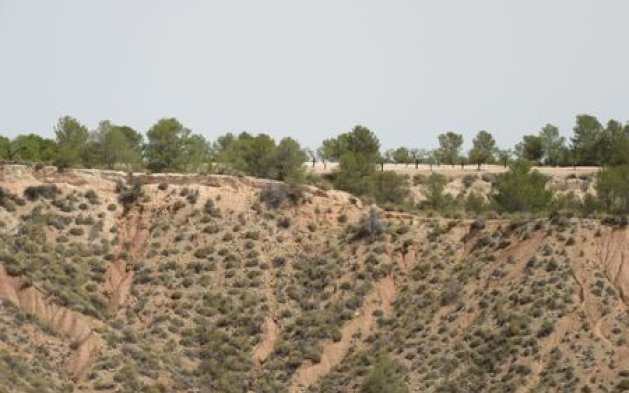 Videresalg - Parcela - Murcia