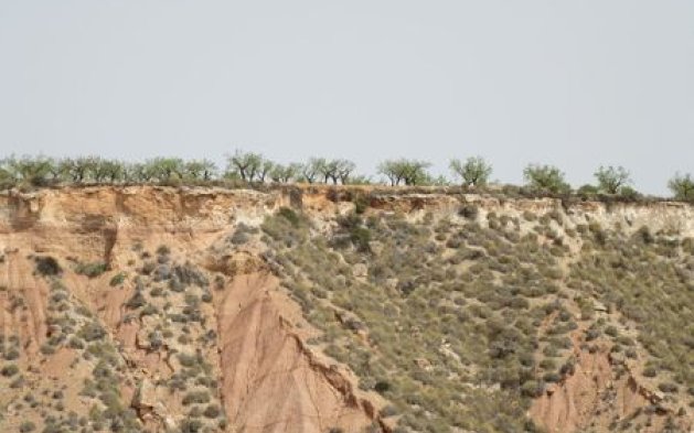 Videresalg - Parcela - Murcia