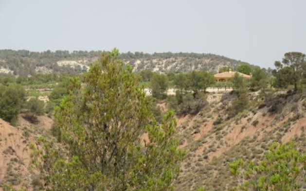 Videresalg - Parcela - Murcia