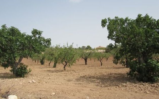 Videresalg - Parcela - Murcia