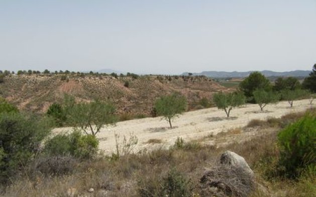 Videresalg - Parcela - Murcia