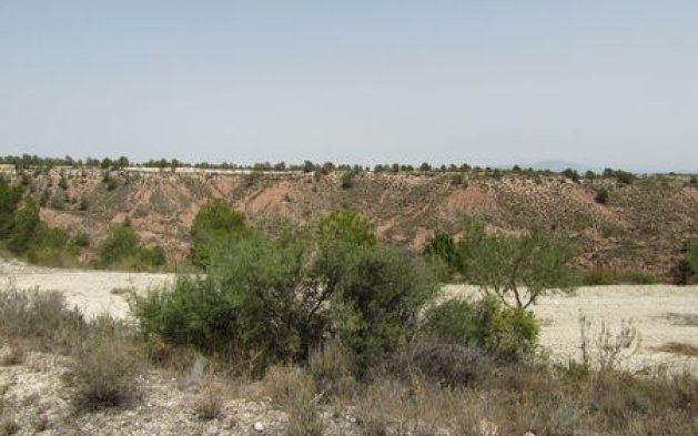 Videresalg - Parcela - Murcia