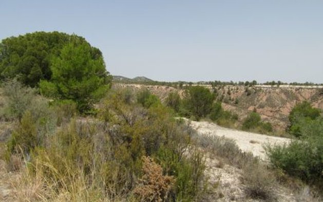 Videresalg - Parcela - Murcia