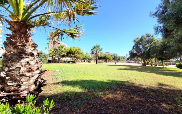 Begagnad - Lägenhet / lägenhet - Torrevieja