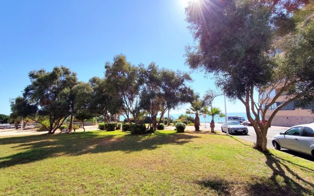 Begagnad - Lägenhet / lägenhet - Torrevieja