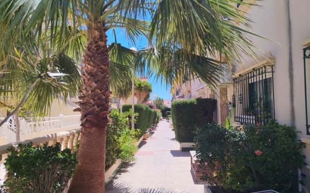Perpardavimas - Dvipusis - Orihuela Costa - La Zenia