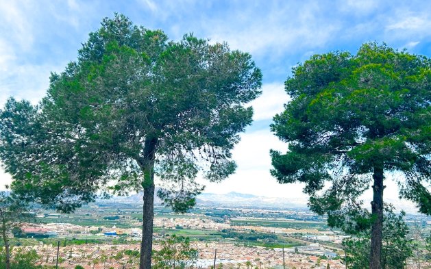 Perpardavimas - Butas - Rojales - Ciudad Quesada