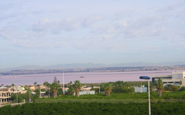 Revente - Duplex - Torrevieja - Los Balcones - Los Altos 