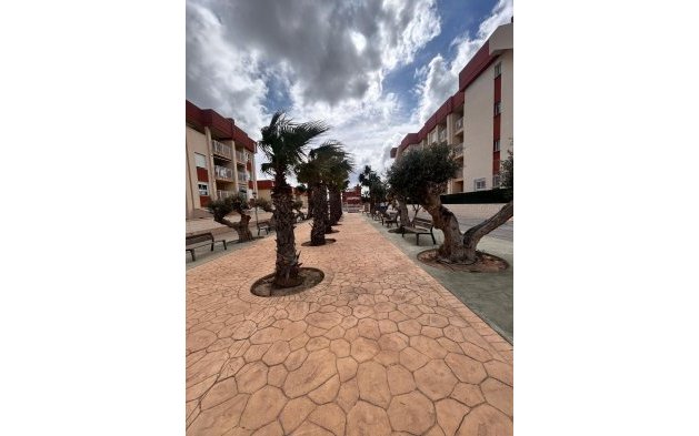 Nowy budynek - Penthouse - Orihuela