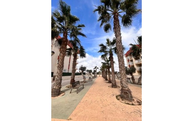 Obra nueva - Ático - Orihuela