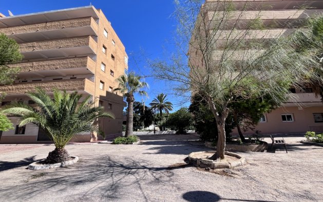 Perpardavimas - Butas - Torrevieja