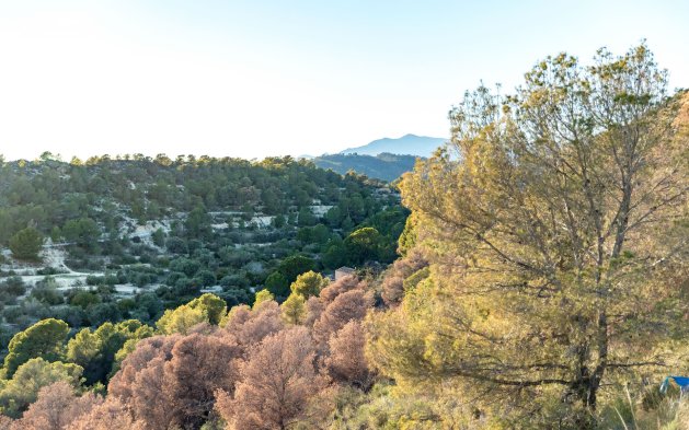 Obra nueva - Apartamento / piso - Finestrat