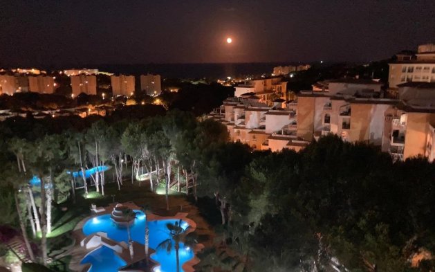 Resale - Apartment / flat - Orihuela Costa - Altos de Campoamor