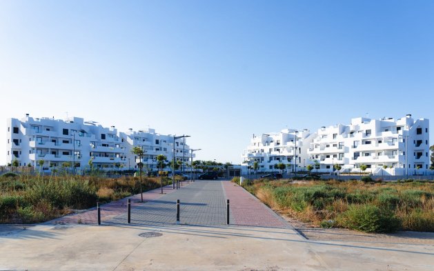 Obra nueva - Apartamento / piso - Torre Pacheco - Torre-Pacheco