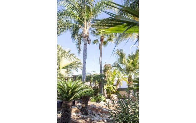 Obra nueva - Villa - San Pedro del Pinatar