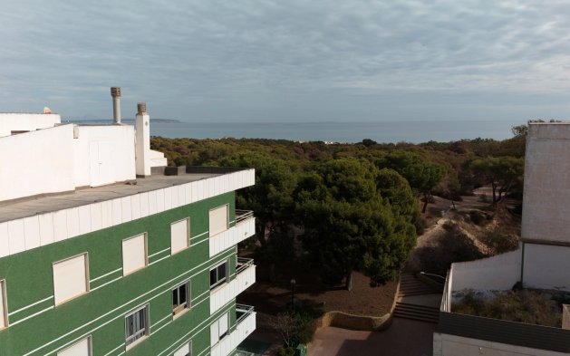 Obra nueva - Apartamento / piso - Guardamar del Segura