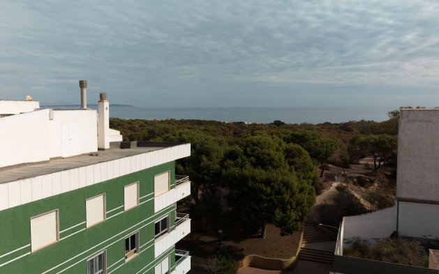 Obra nueva - Apartamento / piso - Guardamar del Segura